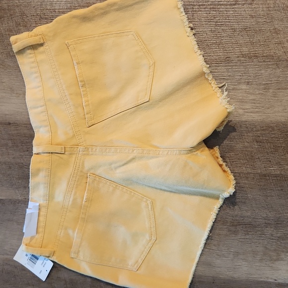 STS Blue-  Layne Shorts. 11" High-rise.  NWT. Size 30 - Picture 5 of 5